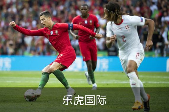 乐虎国际简介